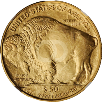 50 Dollari Americani American Buffalo 2006