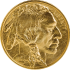 50 Dollari Americani American Buffalo 2006